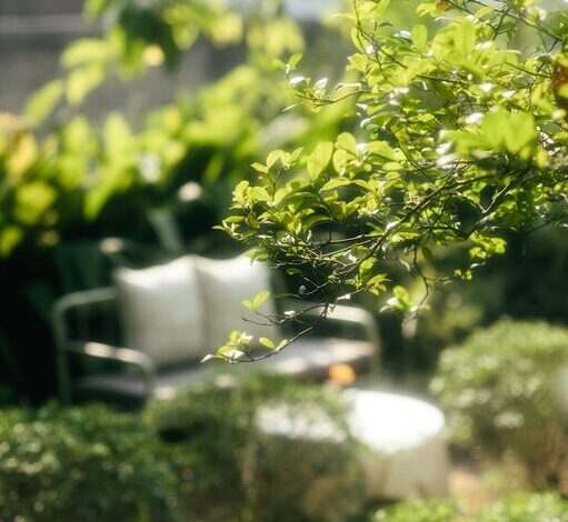 Tips for Creating a Relaxing Outdoor Space in Your Garden